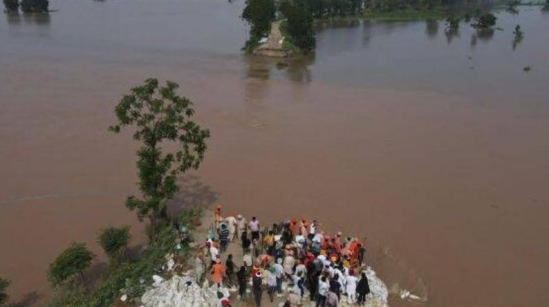 On the instructions Chief Minister Bhagwant Mann, government personnel are active 24 hours in the flood affected areas On the instructions Chief Minister Bhagwant Mann, government personnel are active 24 hours in the flood affected areas