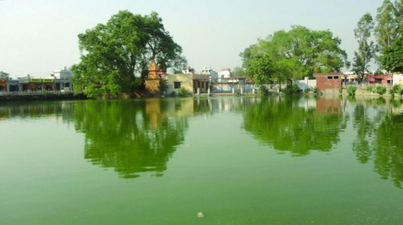 Ponds disappearing in villages in Punjab