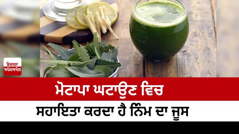 Neem juice helps in reducing obesity