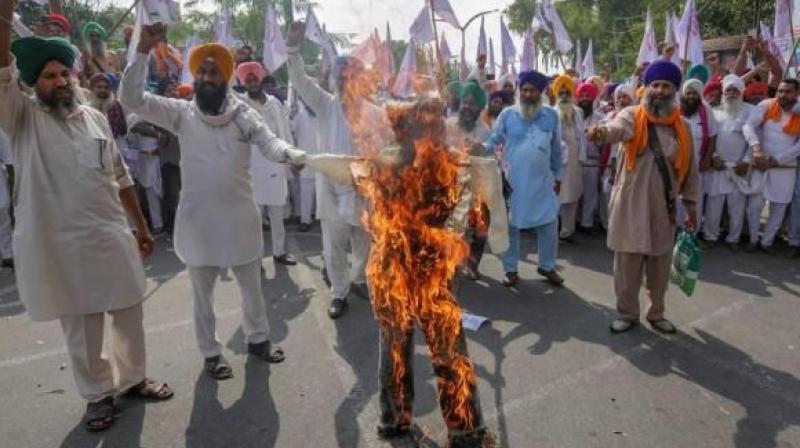 protest protest