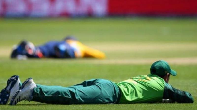 bees attack during sri lanka vs south-africa bees attack during sri lanka vs south-africa