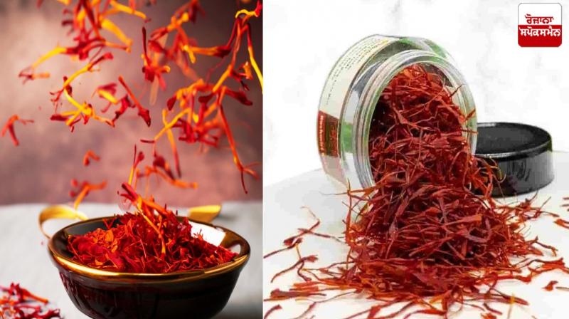 Kashmiri saffron is no less than a boon for arthritis patients Health News Kashmiri saffron is no less than a boon for arthritis patients Health News