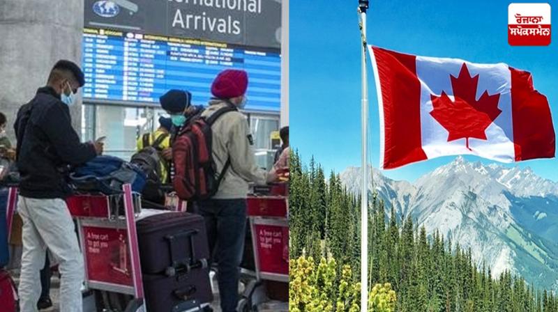Record increase in the number of Punjabi refugees in Canada News Record increase in the number of Punjabi refugees in Canada News