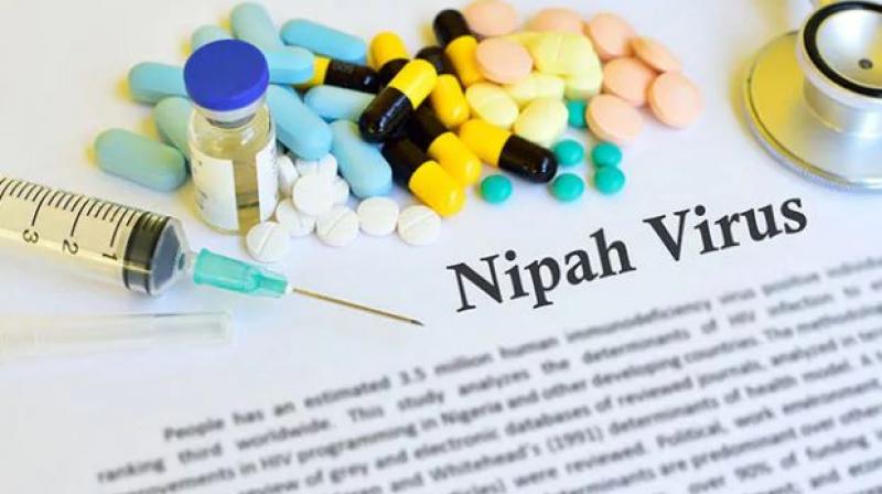 Suspected Nipah case in Kerala! Here is what you need to know Suspected Nipah case in Kerala! Here is what you need to know