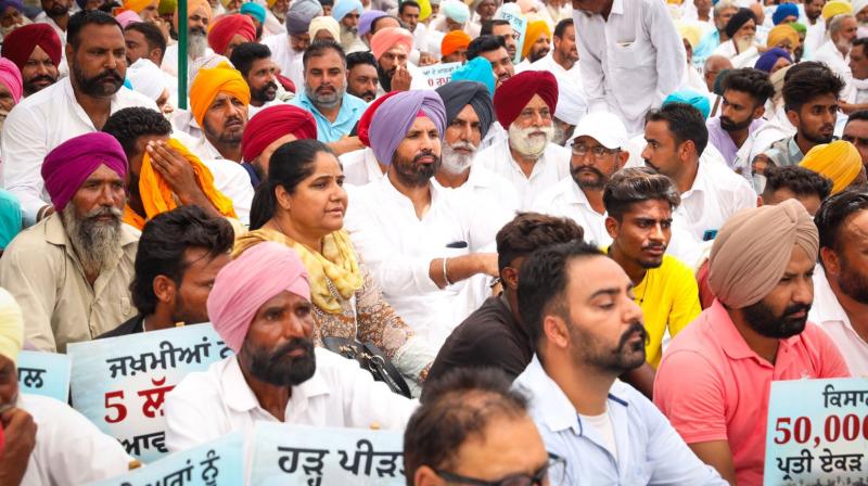 Congress Protest IN Mansa Congress Protest IN Mansa