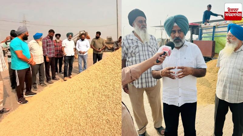 Punjab farmers risk losing Rs 10,000 crore due to huge drop in crop production: Pargat Singh
