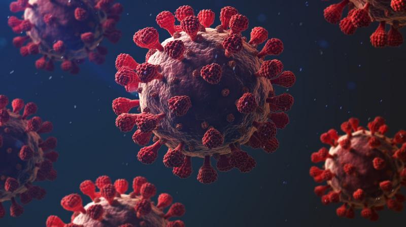 Punjab coronavirus update Punjab coronavirus update