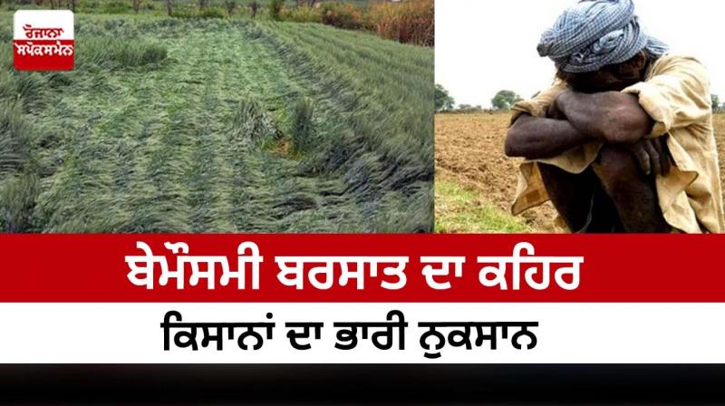 Fury of unseasonal rain, heavy loss of farmers Fury of unseasonal rain, heavy loss of farmers