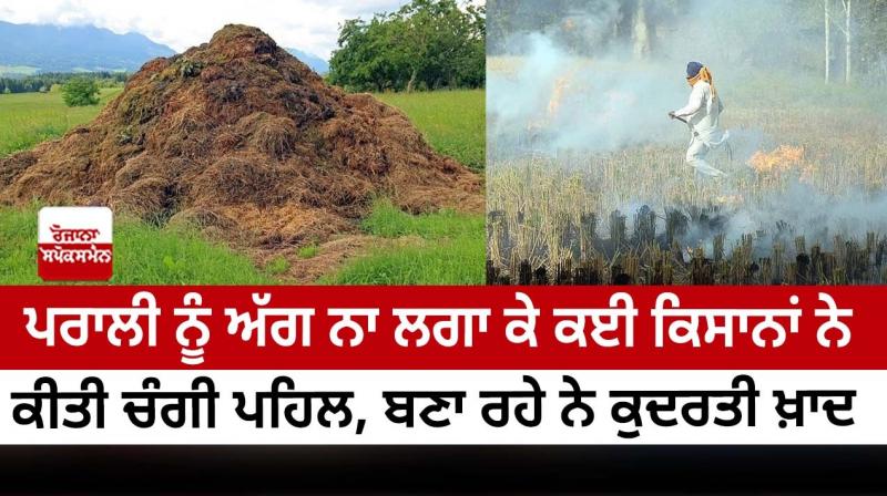 Many farmers have taken a good initiative by not burning the stubble 
