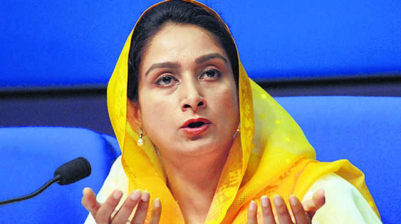 Harsimrat Kaur Badal Harsimrat Kaur Badal