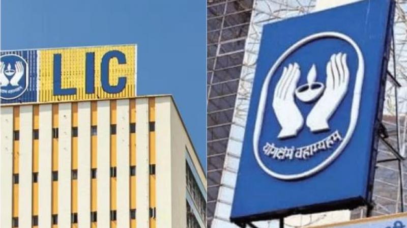 LIC market value falls by 47,943 crores this week, TCS market cap jumps LIC market value falls by 47,943 crores this week, TCS market cap jumps