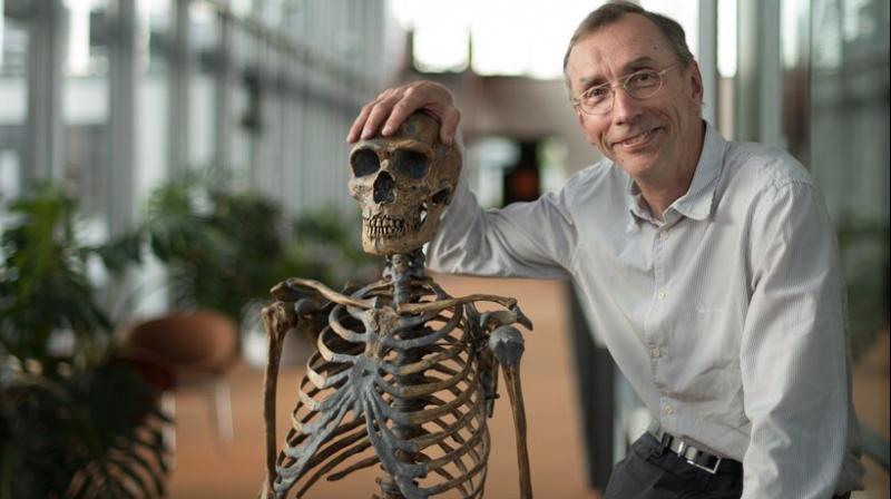 Svante Pääbo awarded Nobel Prize in medicine for research on evolution Svante Pääbo awarded Nobel Prize in medicine for research on evolution