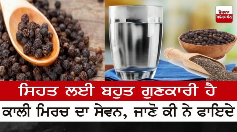 Black Pepper Benefits For Health Black Pepper Benefits For Health
