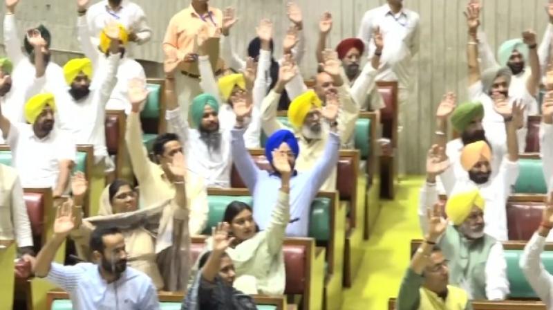 Bhagwant Mann govt wins confidence vote Bhagwant Mann govt wins confidence vote