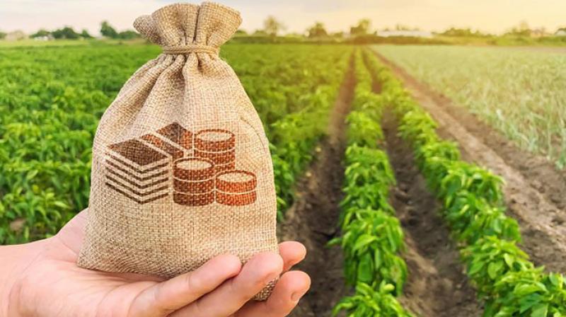 Alert for farmers! Return the farm loan to the bank within 20 days Alert for farmers! Return the farm loan to the bank within 20 days