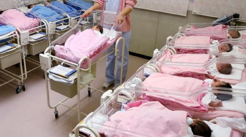 'Baby Crisis' 'Baby Crisis'