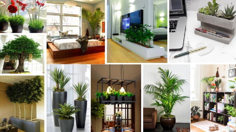 Methods to maintain positive energy Methods to maintain positive energy