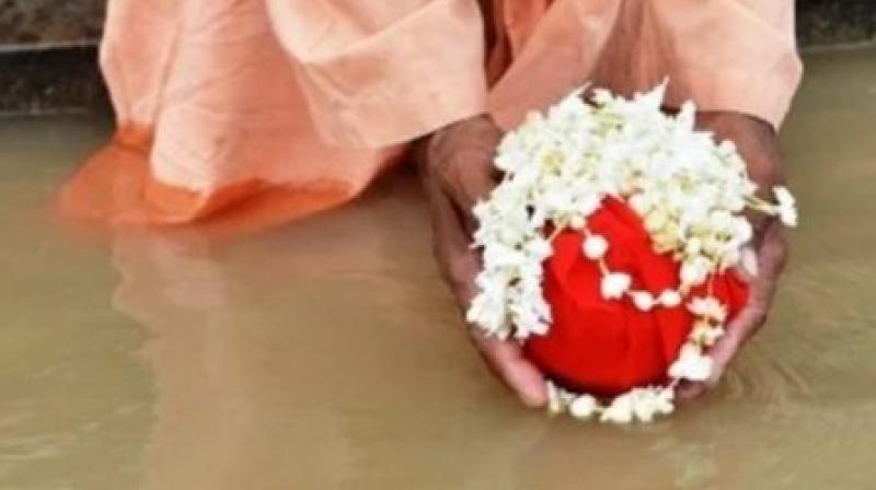 Taif River was found to be a flower for the Hindu-Sikh community in Britain Taif River was found to be a flower for the Hindu-Sikh community in Britain