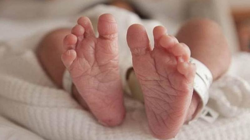 New Born Baby New Born Baby
