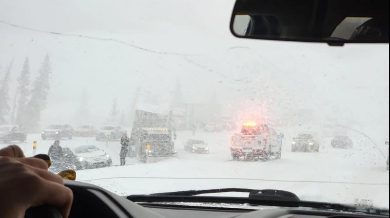 20 vehicles collided Due to heavy snowfall in Canada