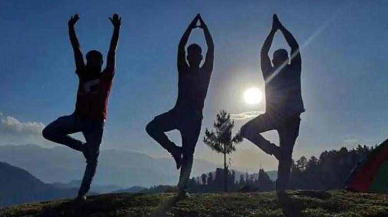 yoga yoga