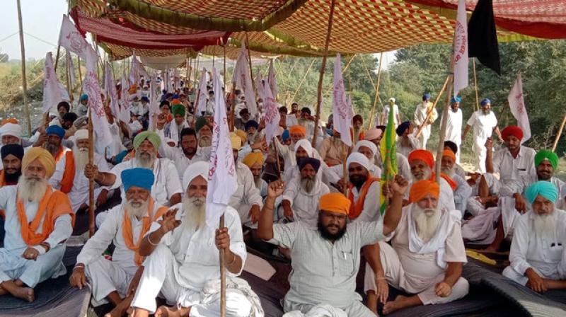 Farmer Protest Farmer Protest