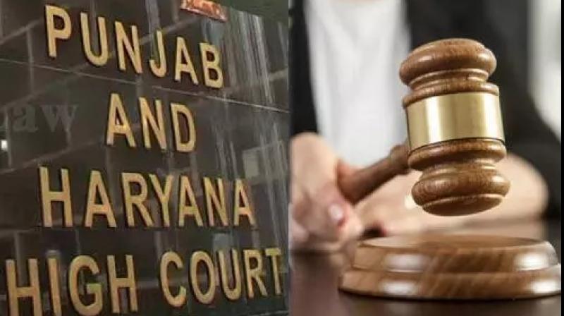 High Court High Court