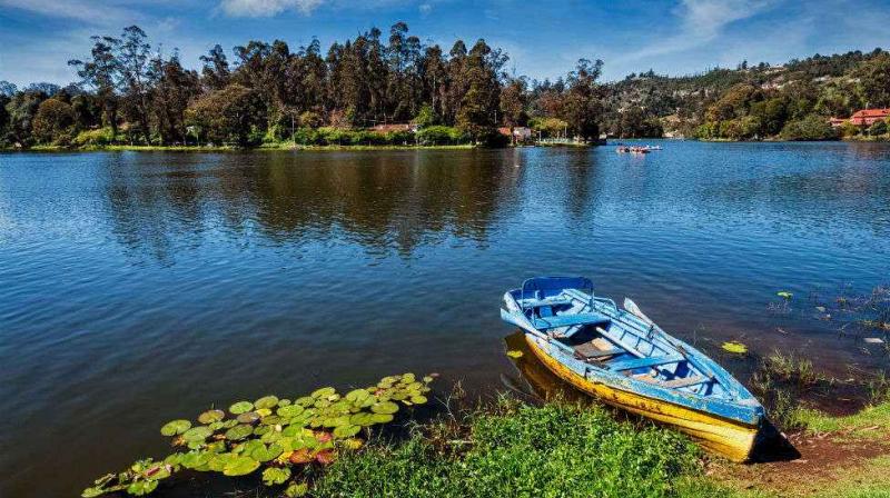 Kodaikanal is perfect honeymoon destination for monsoon Kodaikanal is perfect honeymoon destination for monsoon