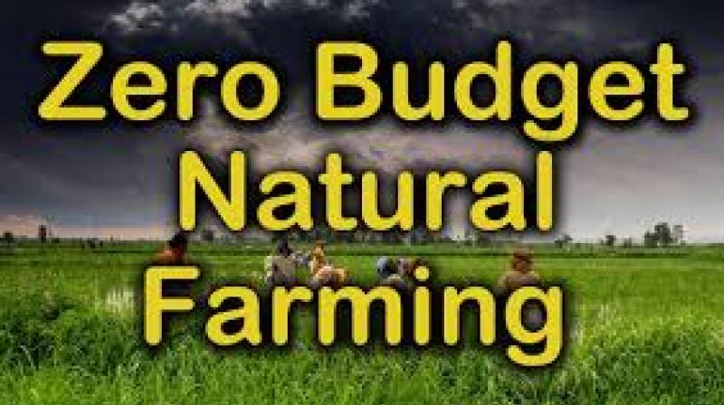 Zero budget natural farming