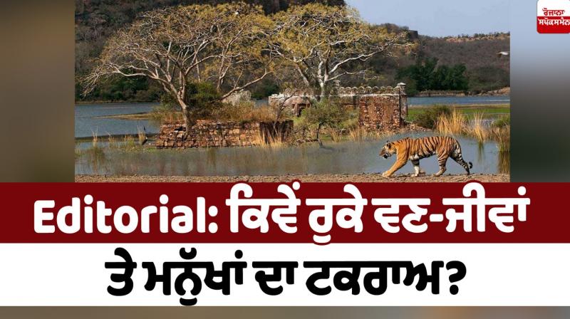 How to stop the conflict between wildlife and humans Editorial How to stop the conflict between wildlife and humans Editorial