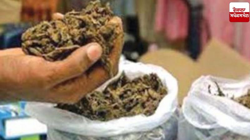Ganja worth Rs 2.77 crore seized at Kempegowda International Airport