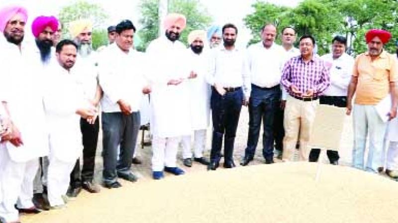 Buying Wheat by Govt Buying Wheat by Govt