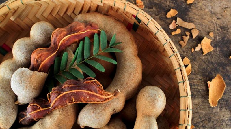 Tamarind is very beneficial for health Tamarind is very beneficial for health