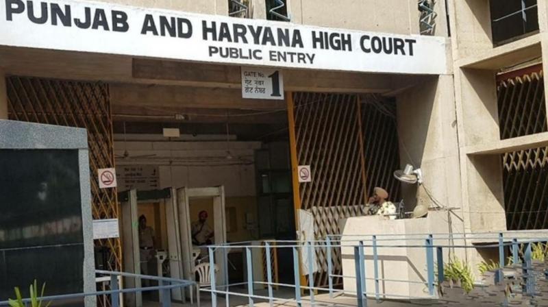 Trust Lost, Marriage Over: The High Court upheld the lower court's decision on divorce Trust Lost, Marriage Over: The High Court upheld the lower court's decision on divorce