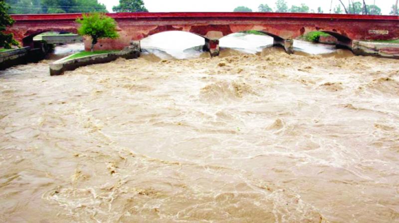 Yamuna River 