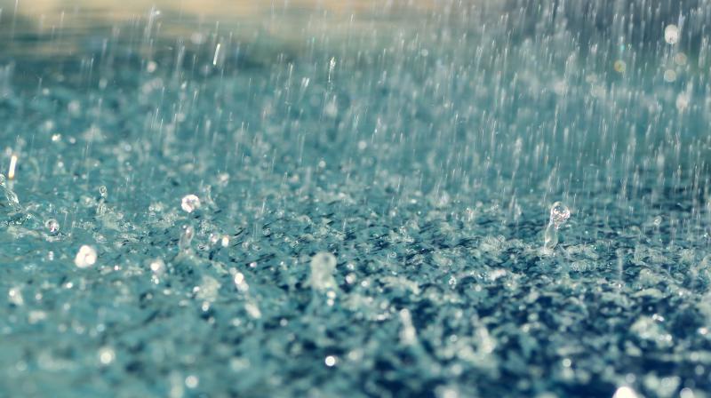 Rain Rain