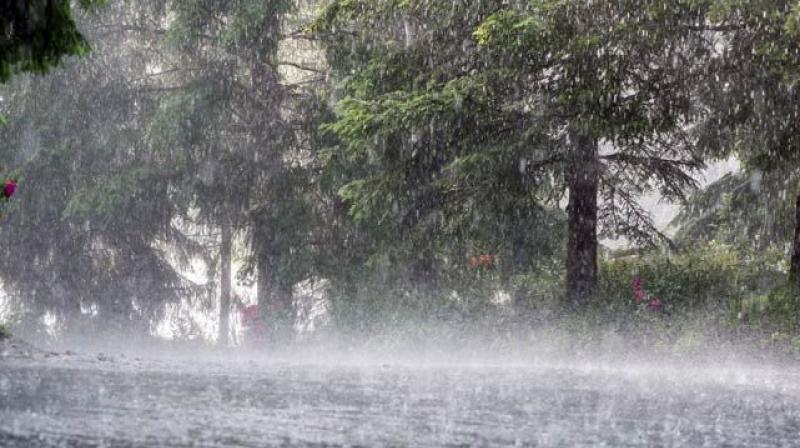 Rain Rain
