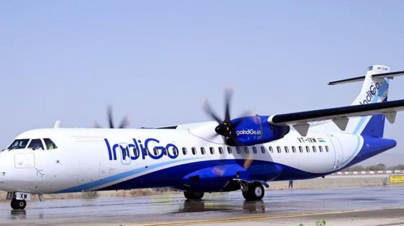 IndiGo aircraft suffers tail strike on arrival at Delhi airport IndiGo aircraft suffers tail strike on arrival at Delhi airport