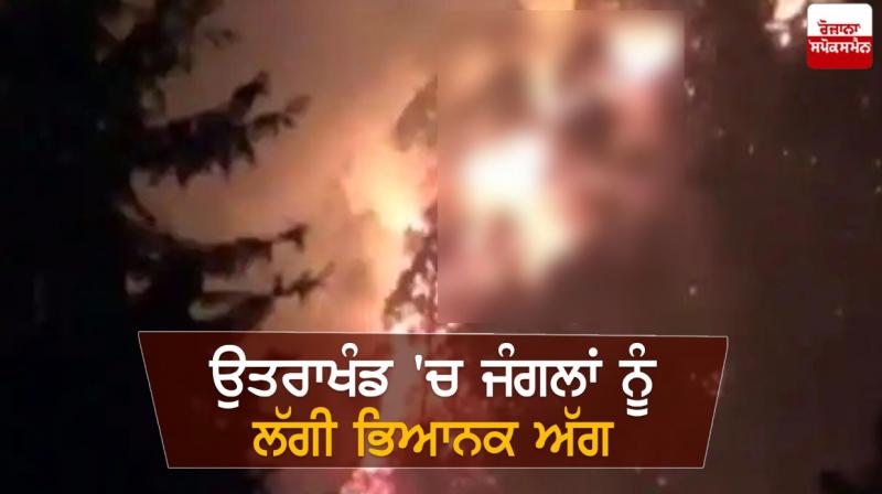 Terrible forest fire in Uttarakhand