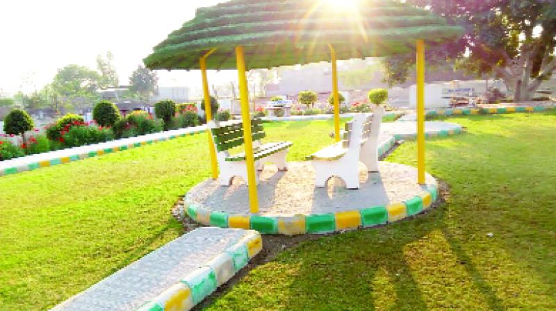 Parks of Bhokra village Parks of Bhokra village