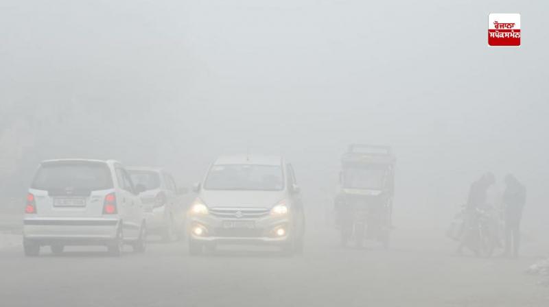 Fog alert in 14 districts of Punjab Fog alert in 14 districts of Punjab