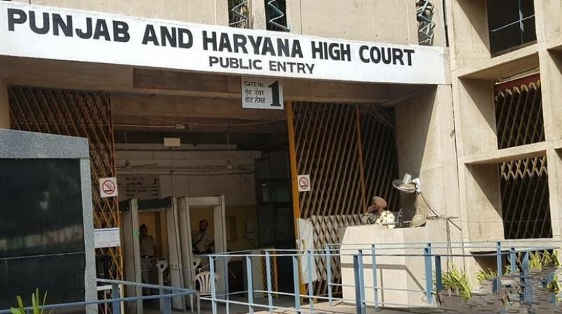 Punjab Haryana High Court Punjab Haryana High Court