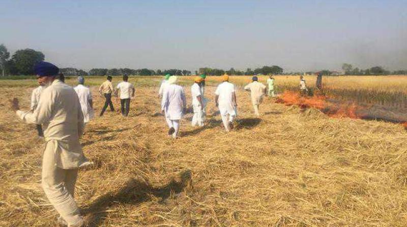 Farmers To Hold Protests Against FIRs For Stubble Burning On Nov 25