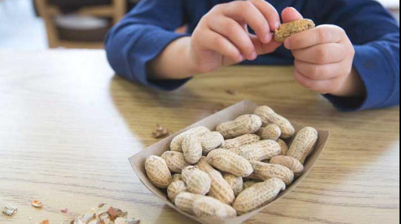 Restaurant fined for serving peanut dish to teen