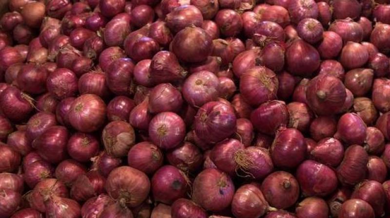 Onion Onion