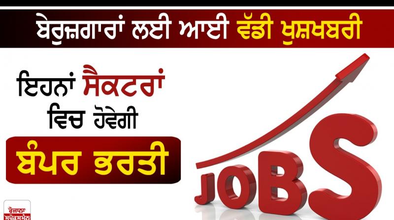 India to witness rise in jobs for IT, e-commerce, logistics, other sectors India to witness rise in jobs for IT, e-commerce, logistics, other sectors