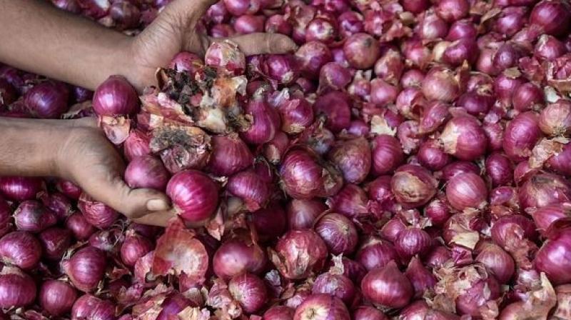 Onion Onion