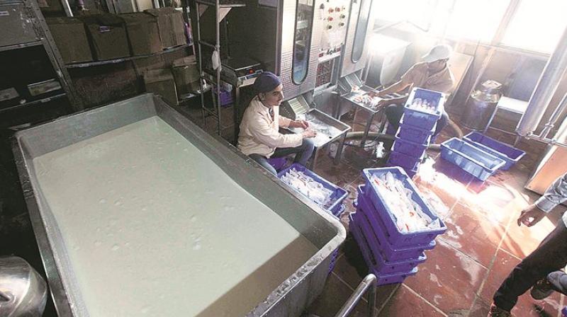 After onion, milk price hike is new headache for people After onion, milk price hike is new headache for people