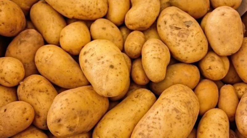 Potato Potato