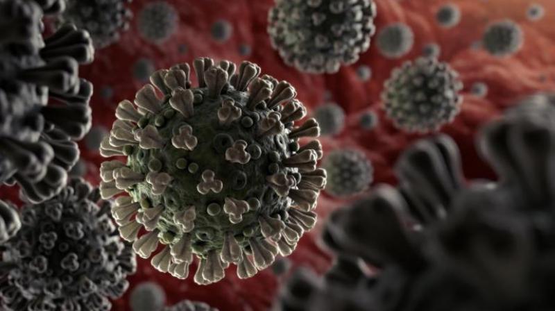 coronavirus coronavirus